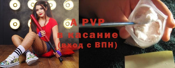 прущие грибы Абинск