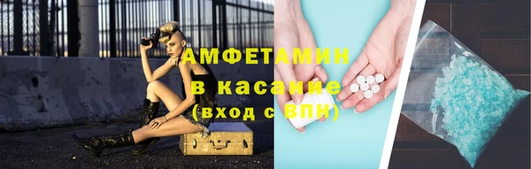 прущие грибы Абинск
