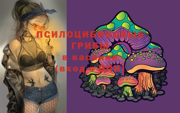 прущие грибы Абинск